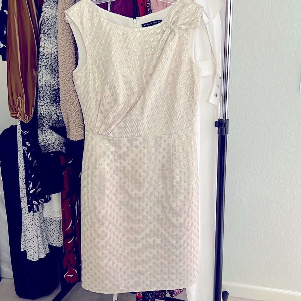Antonio Melani Dress 4 sheath straight shimmer cream dress pencil
